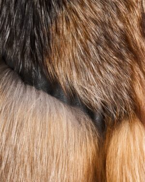 futro naturalne w odcieniach brązu z gęstym włosiem, idealne na zimowe dni